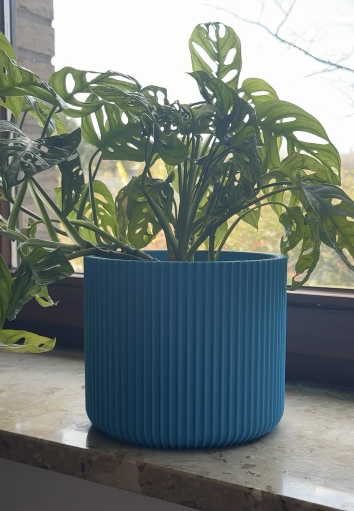 Blumentopf gerades Muster